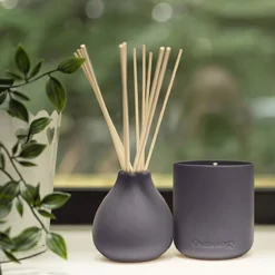 Indian Sandalwood Reed Diffuser -Vero Moda Store Osmology Indian Sandalwood Reed Diffuser 053700 3