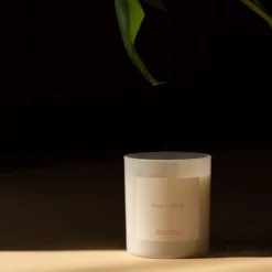 JJXX Select Store -Vero Moda Store UNADJUSTEDNONRAW thumb 38c3